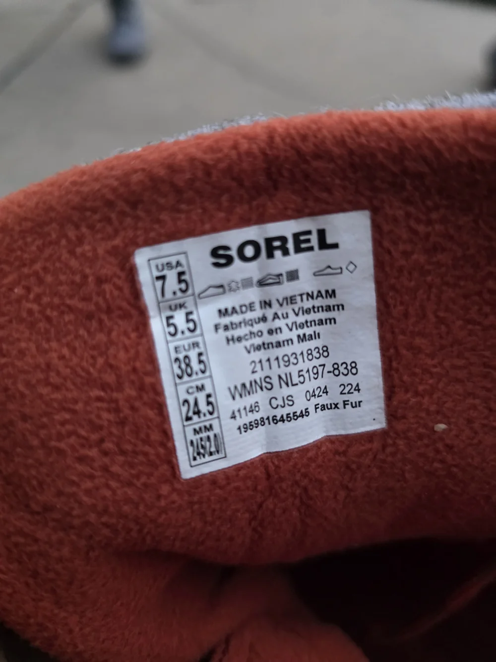 Sorel new kinetic
